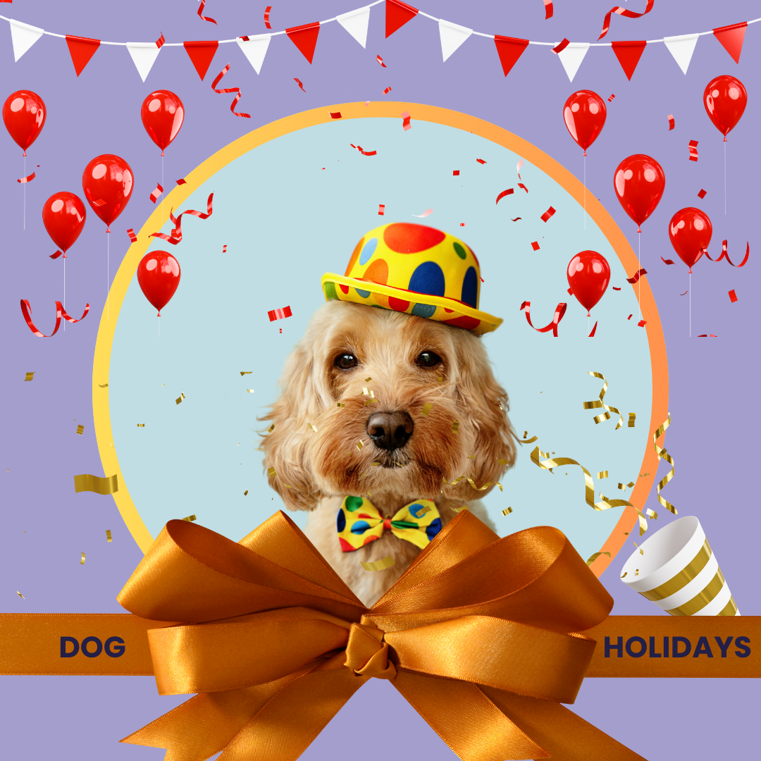 DOG HOLIDAYS