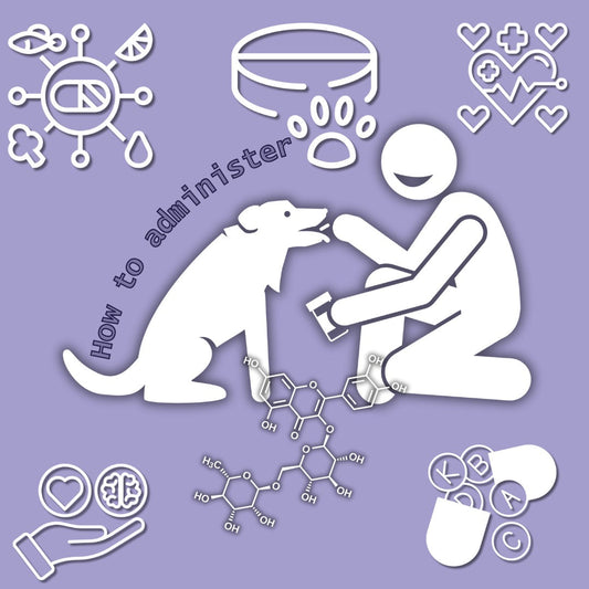 HOW TO GIVE SUPPLEMENTS TO MY DOG
