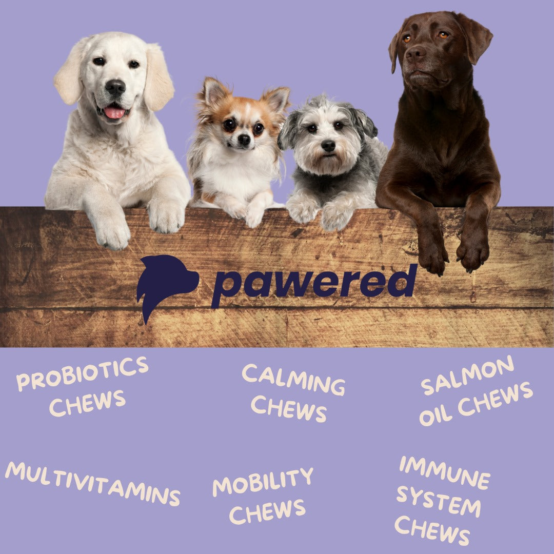 BENEFITS AND RISKS OF SUPPLEMENTS FOR DOGS.