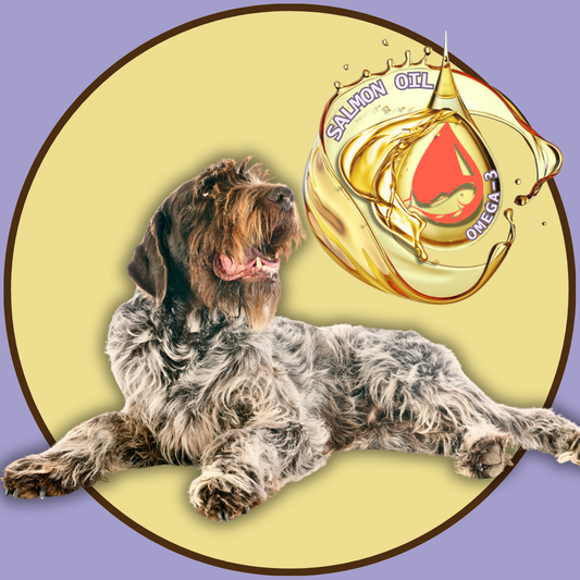 SALMON OIL FOR DOGS, OMEGA-3 BENEFITS