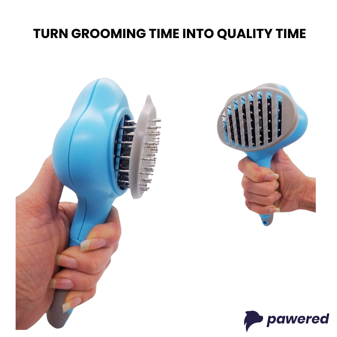 The Golden Bundle + Brush