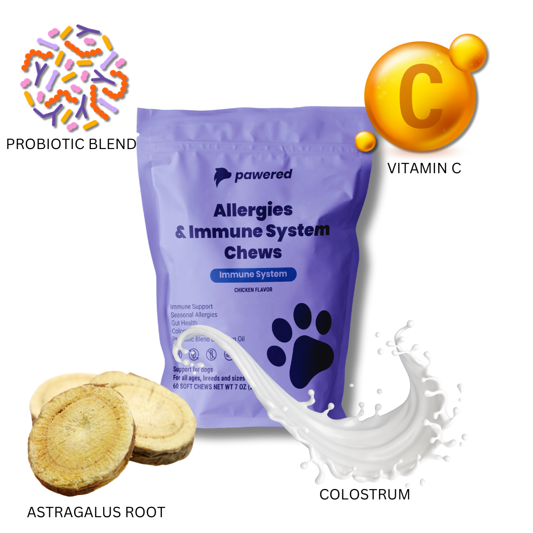 Allergies & Immune System Chews