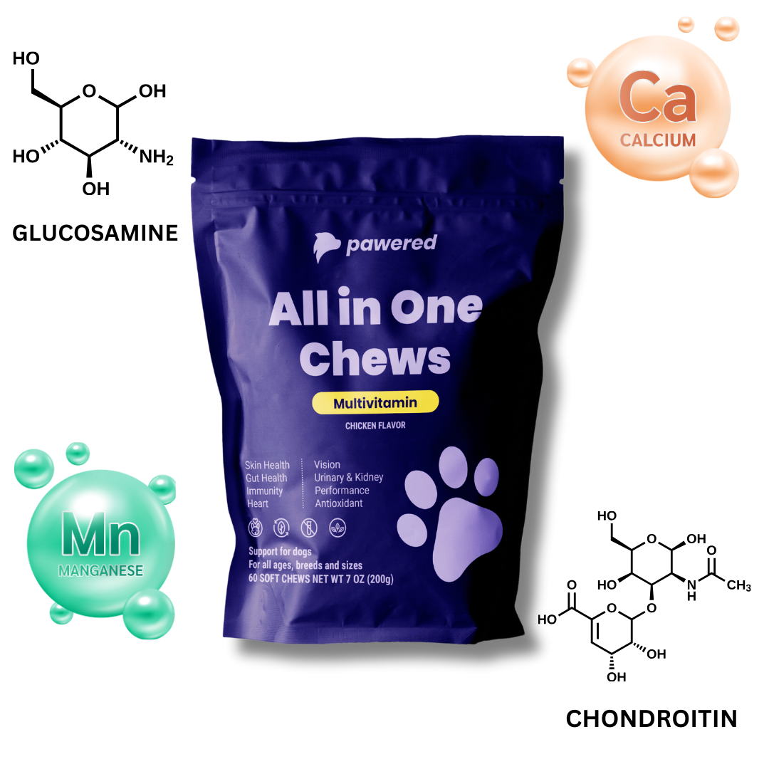 Fur-Ever Fresh Bundle