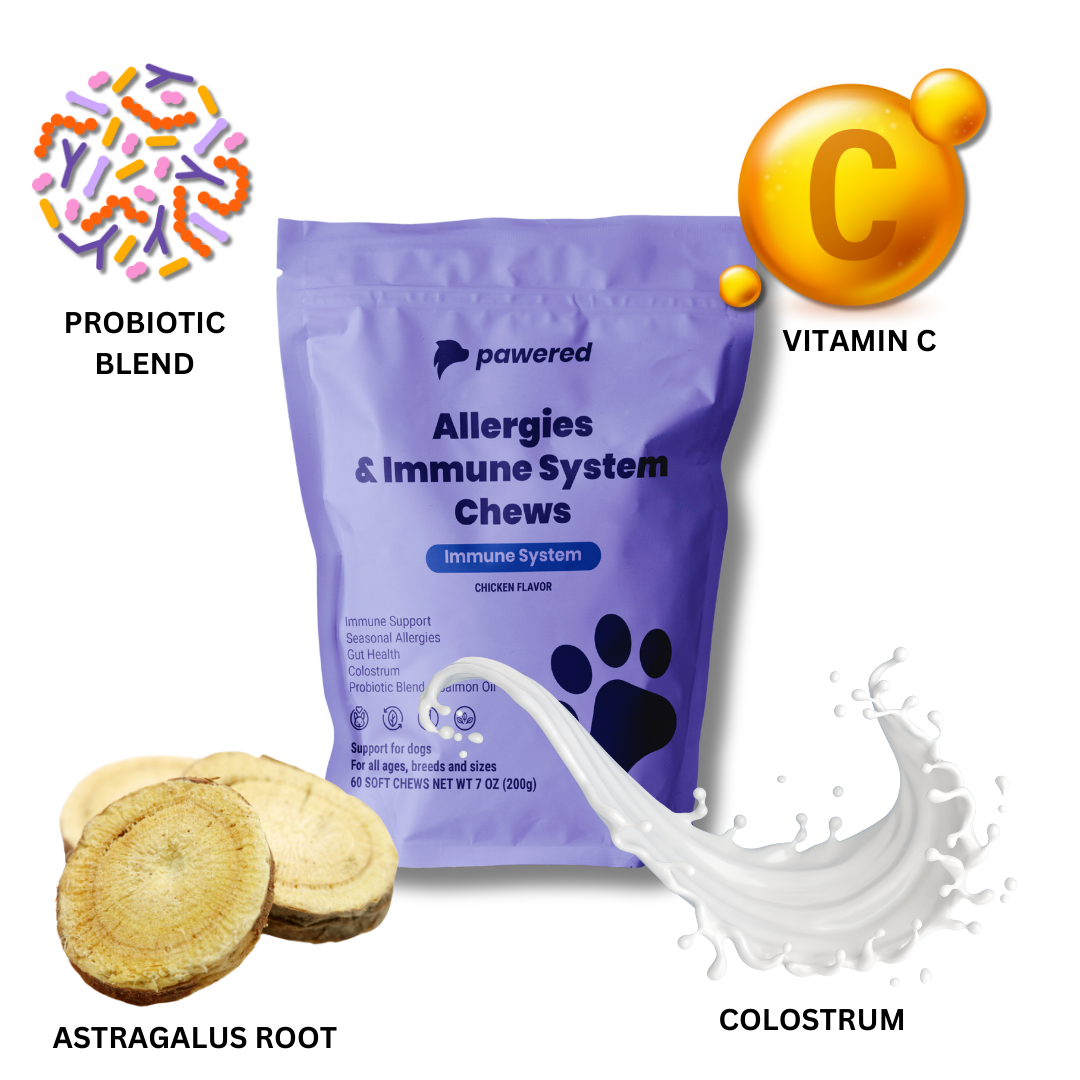 Fur-Ever Fresh Bundle