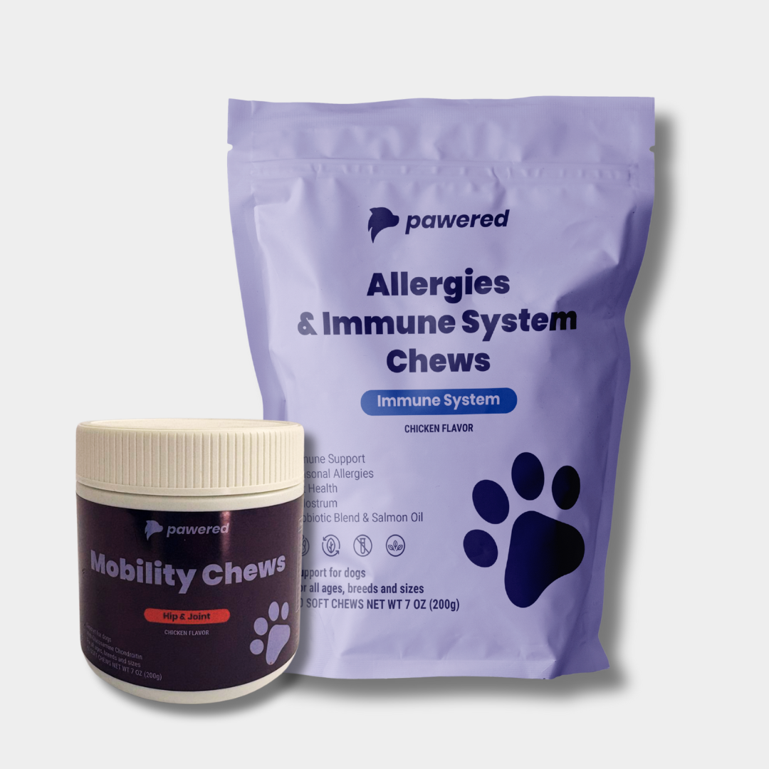 Mobility Plus