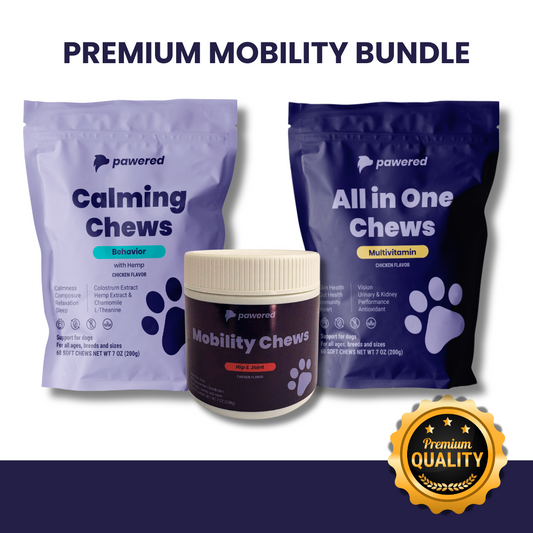 Premium Mobility Bundle
