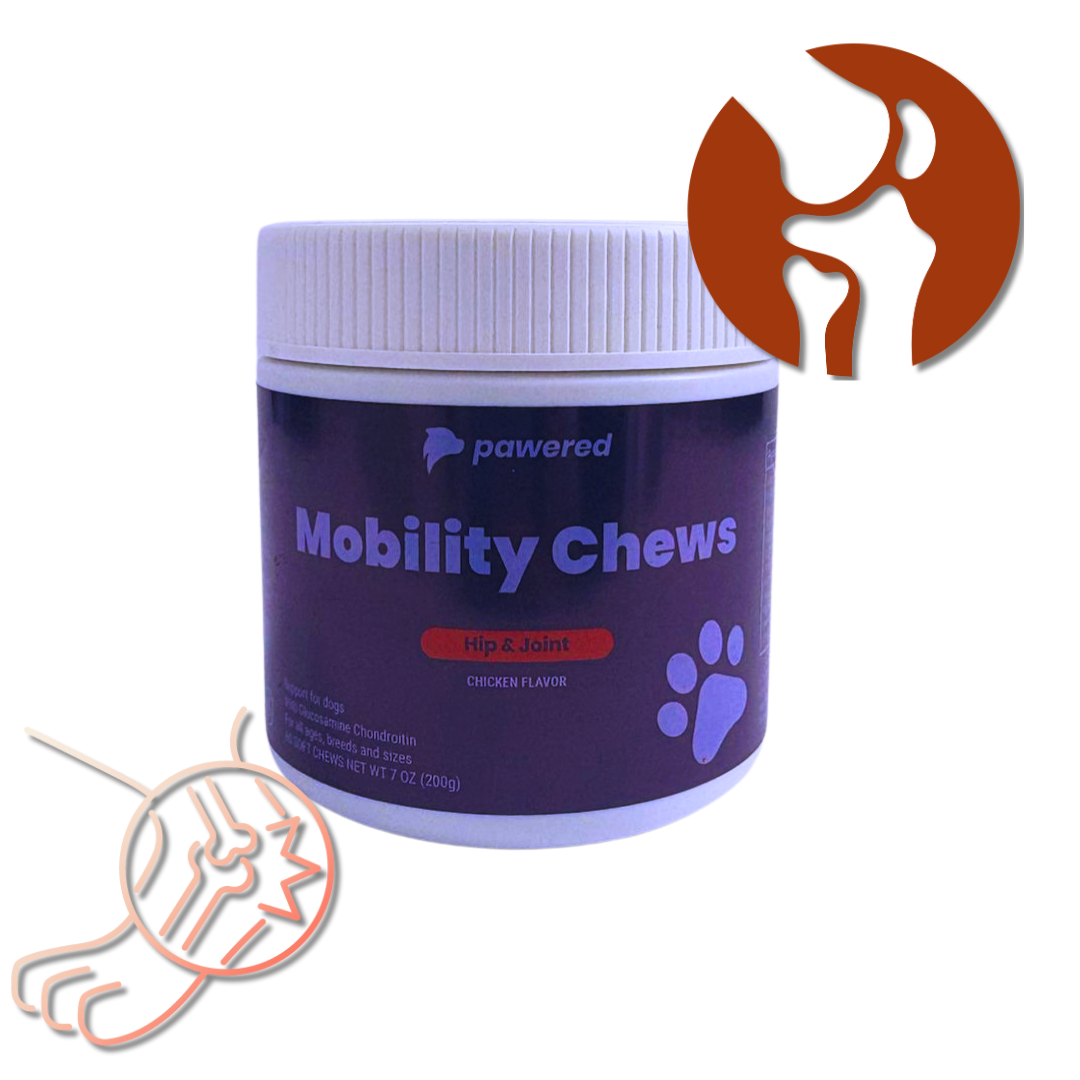 Premium Mobility Bundle