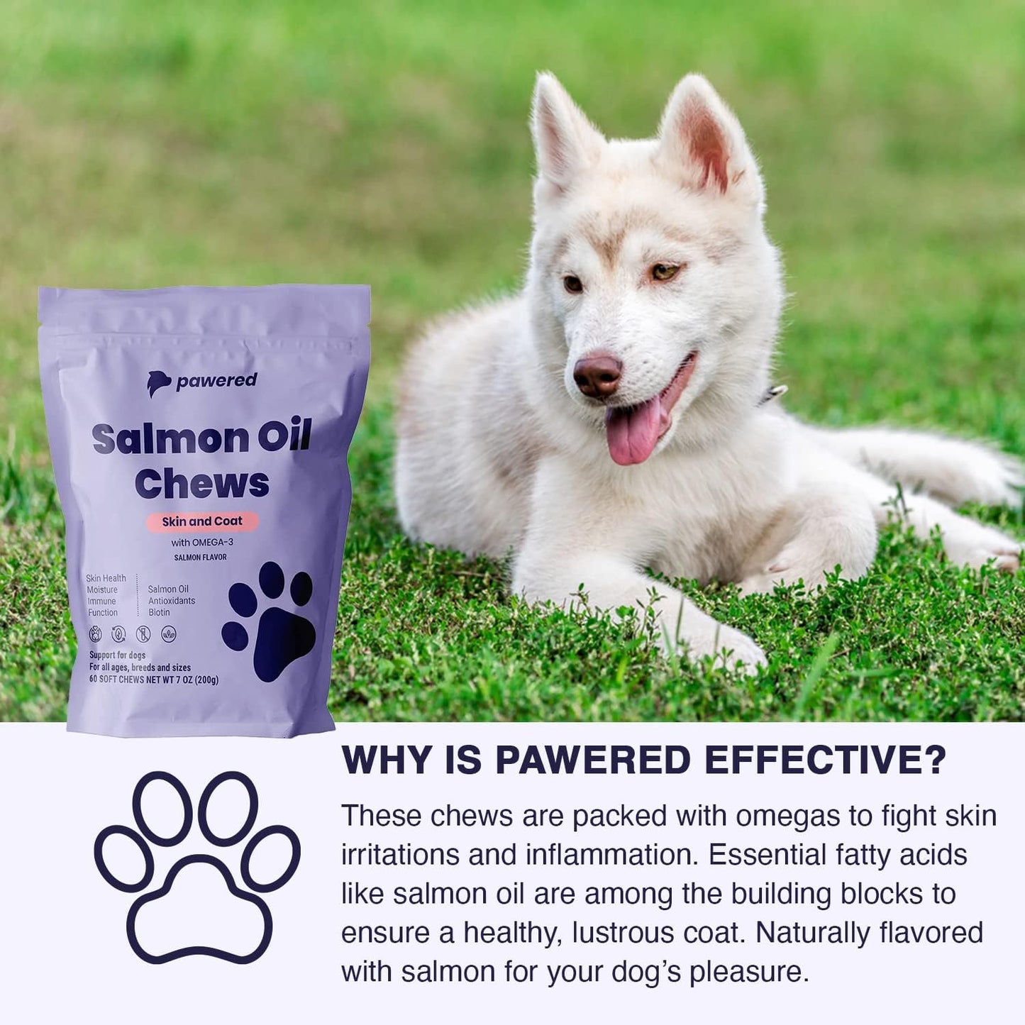 Salmon Oil Chews