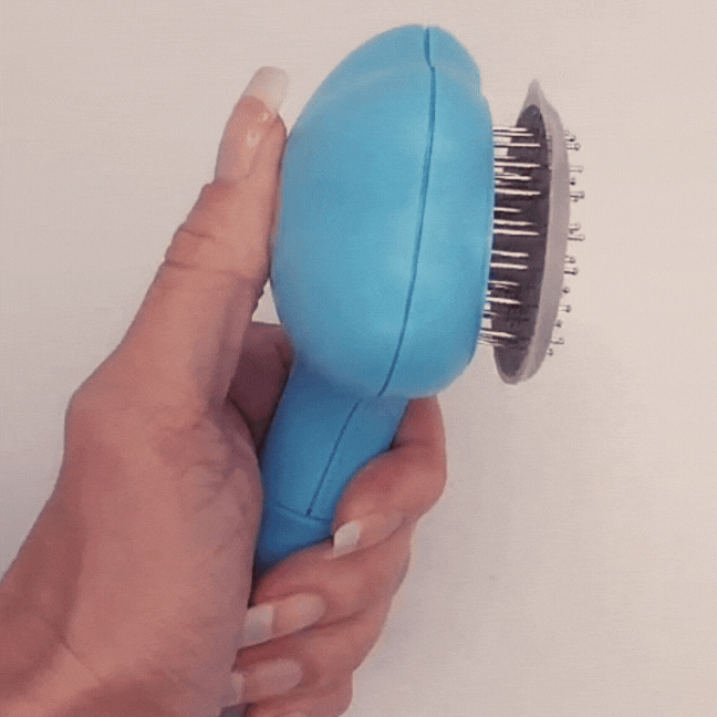 The Golden Bundle + Brush