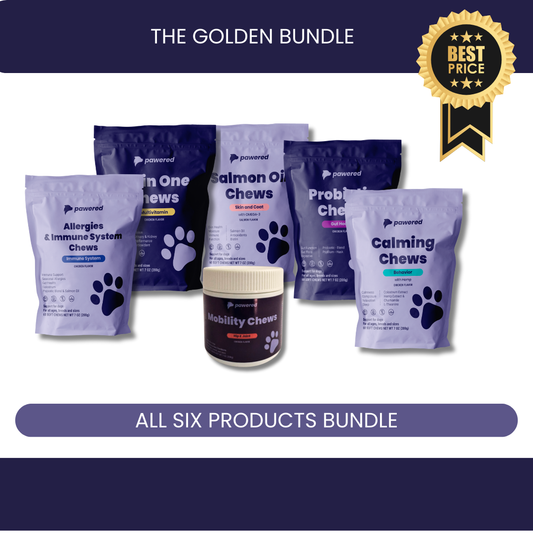 The Golden Bundle + Brush