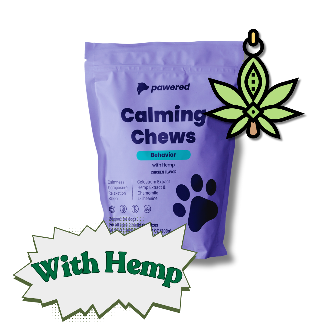 Premium Mobility Bundle