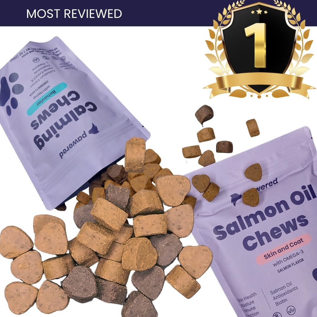 The Golden Bundle + Brush