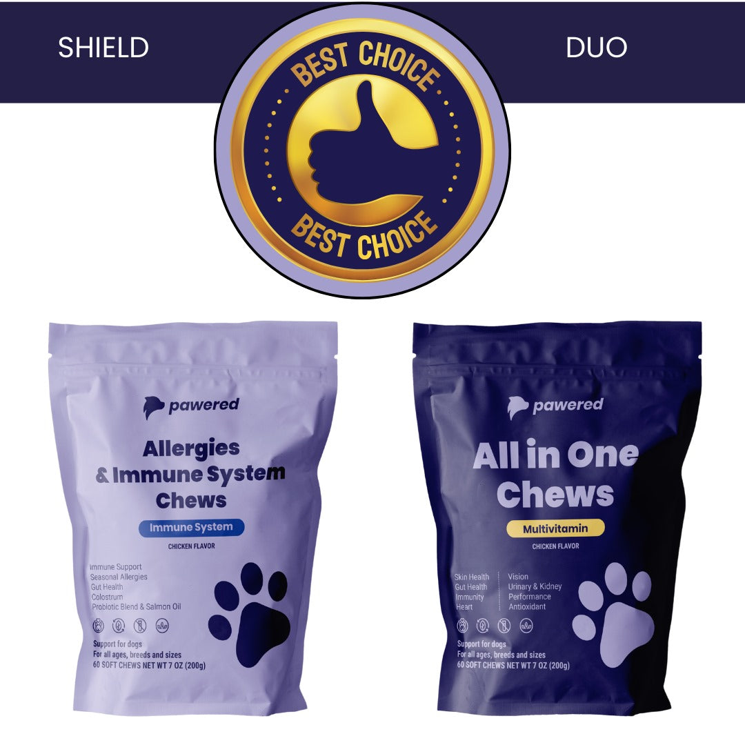 The Golden Bundle + Brush