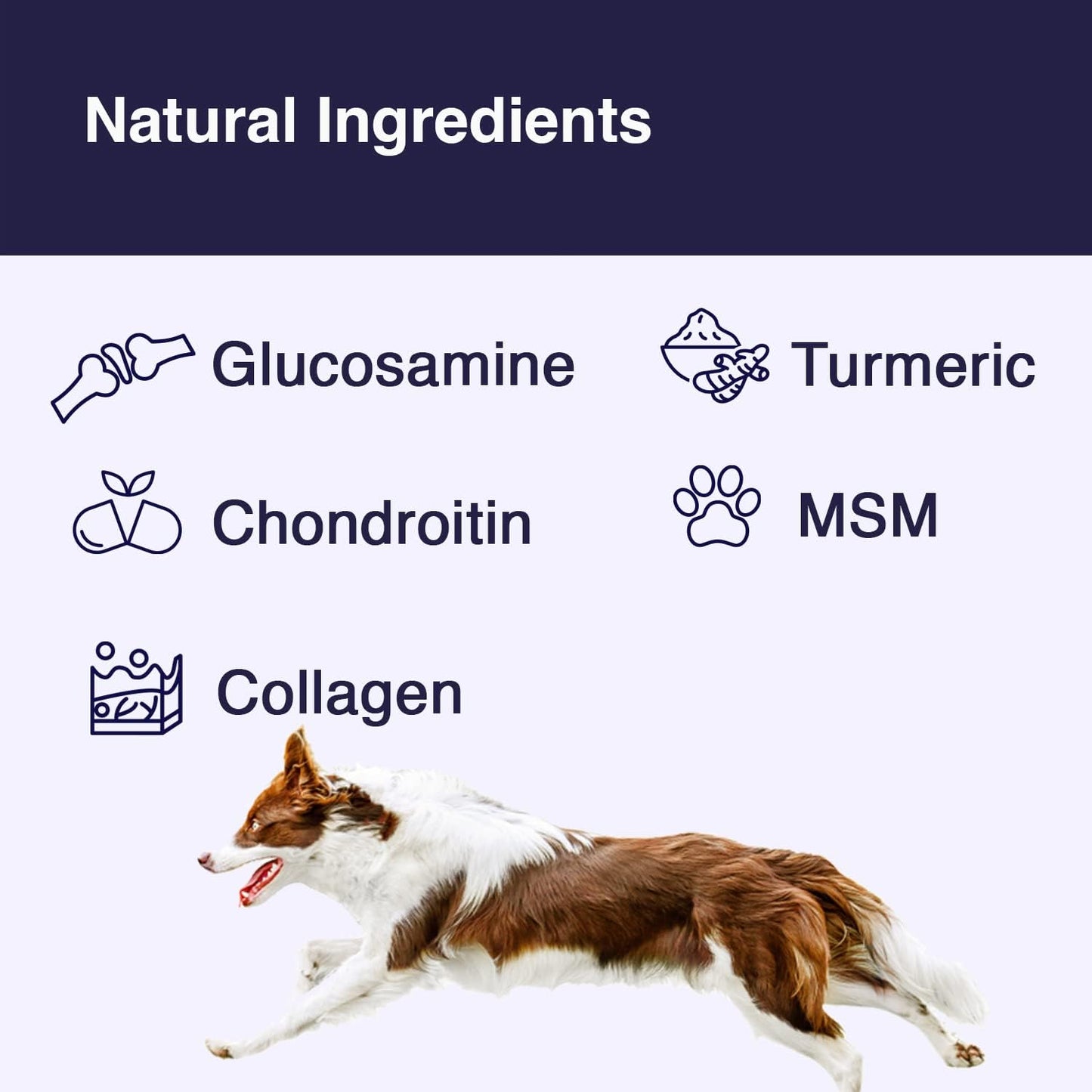 The Unleashed Bundle