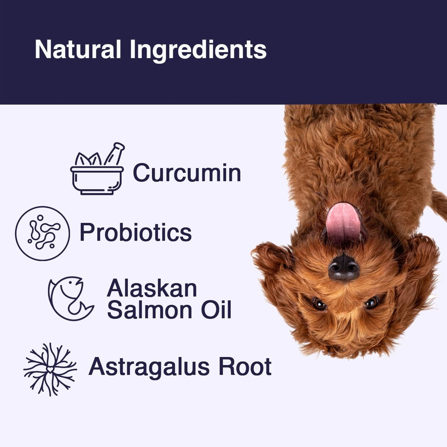 The Unleashed Bundle