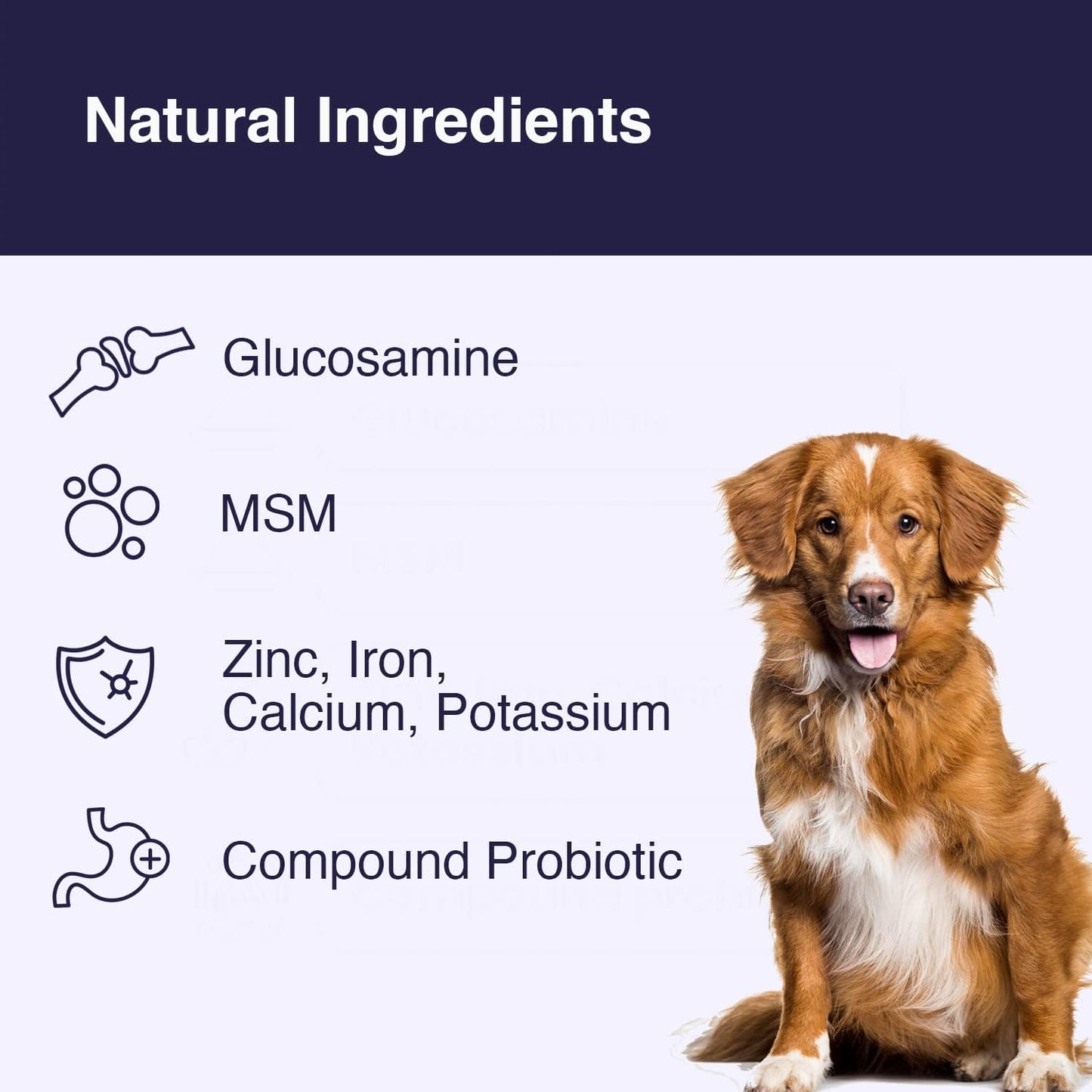 The Unleashed Bundle