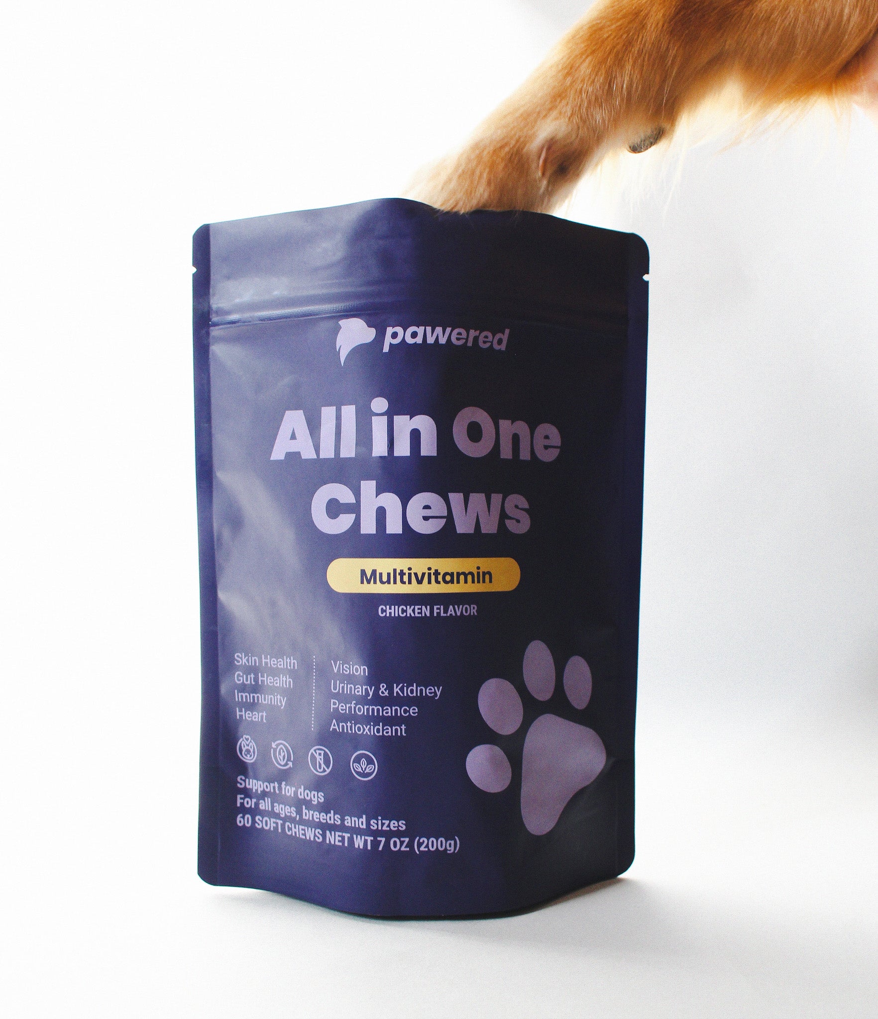 multivitamin dog supplements, natural ingredients