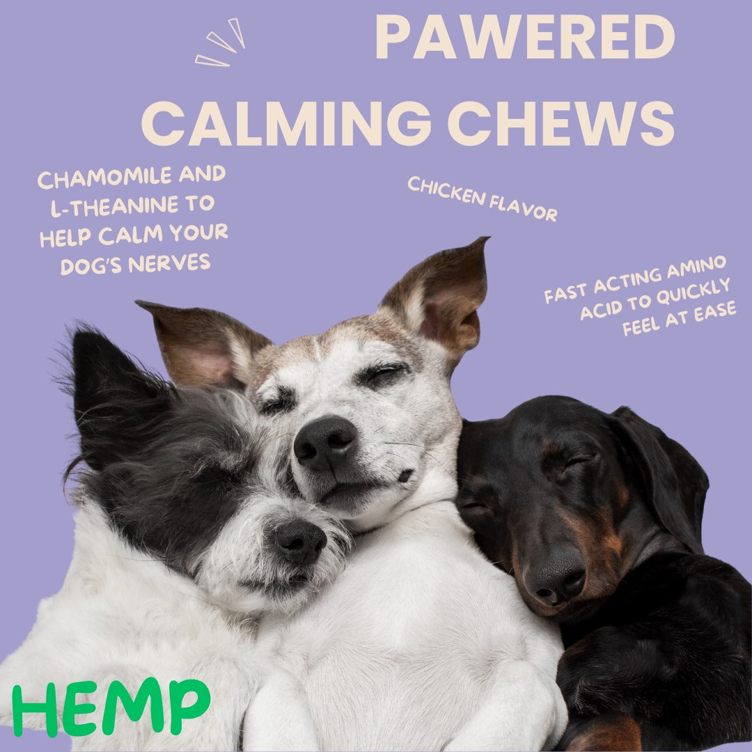 HEMP IN DOGS SUPPLEMENTS. WHAT ARE THE BENEFITS?
