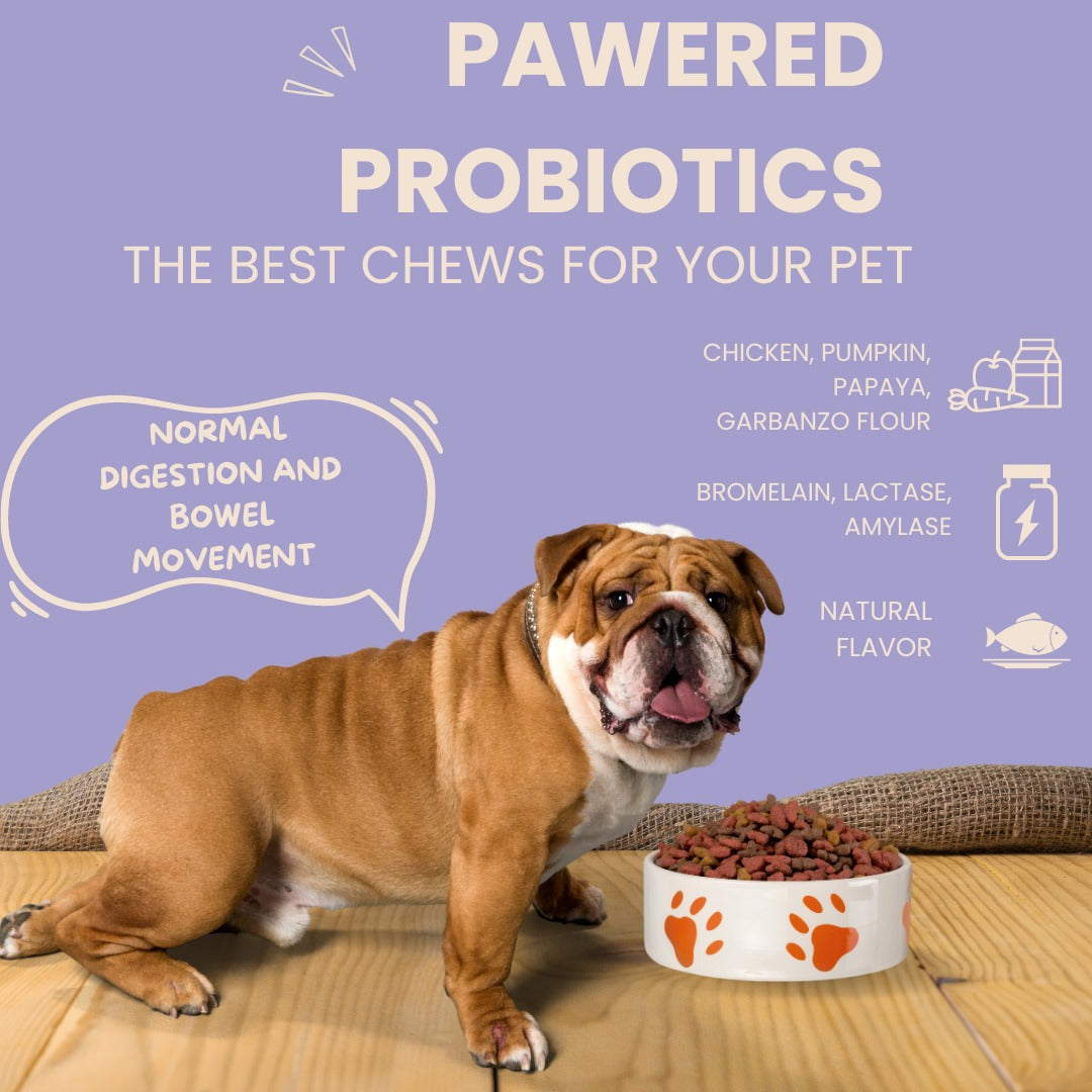 PROBIOTICS FOR DOGS. WHY AND HOW?