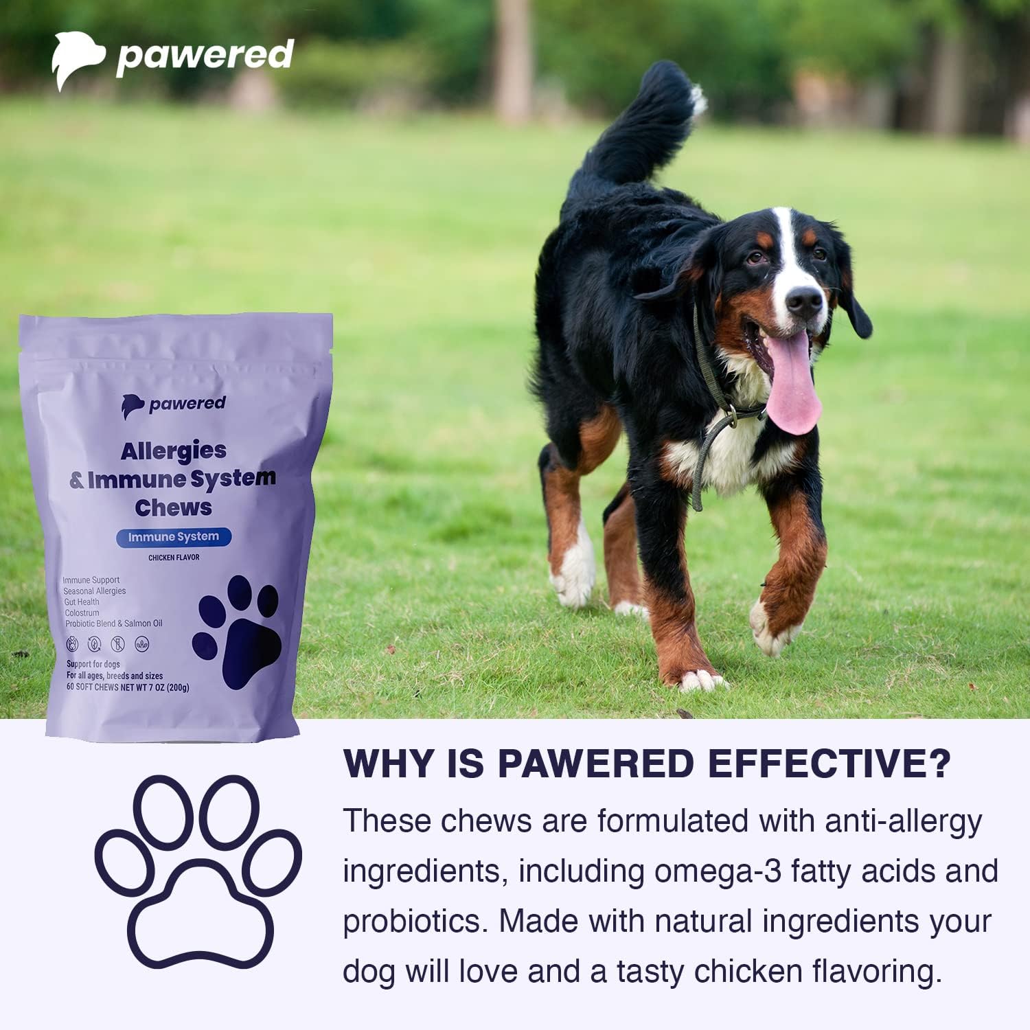 Fatty acids for dogs allergies best sale