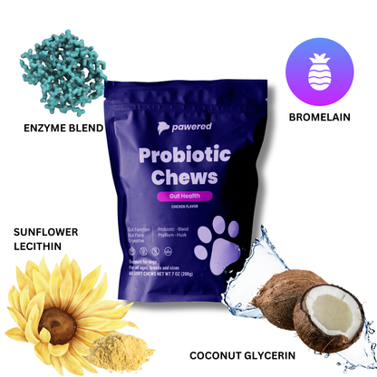 Probiotic Chews