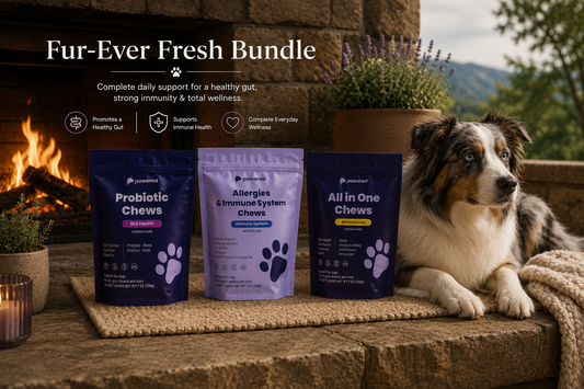 Fur-Ever Fresh Bundle