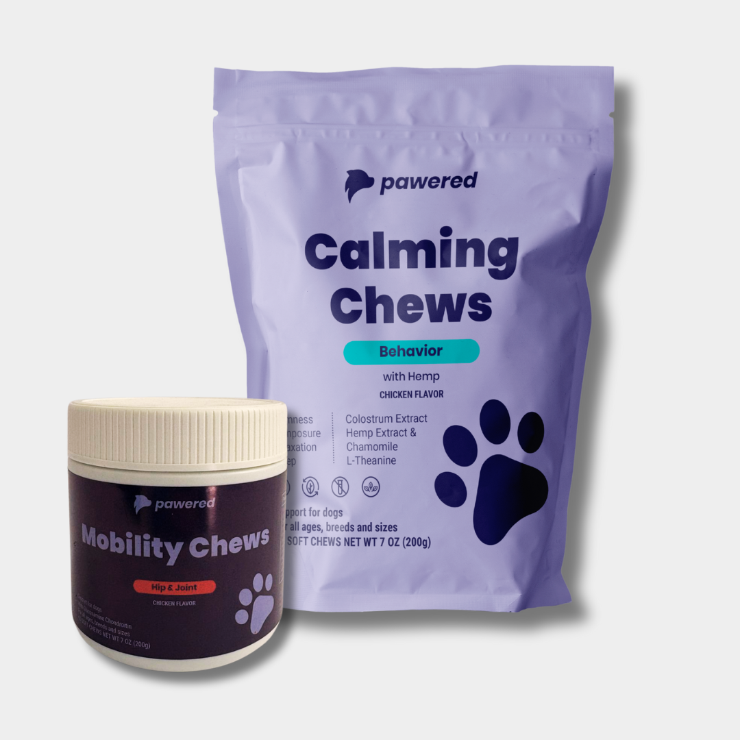 Mobility Plus
