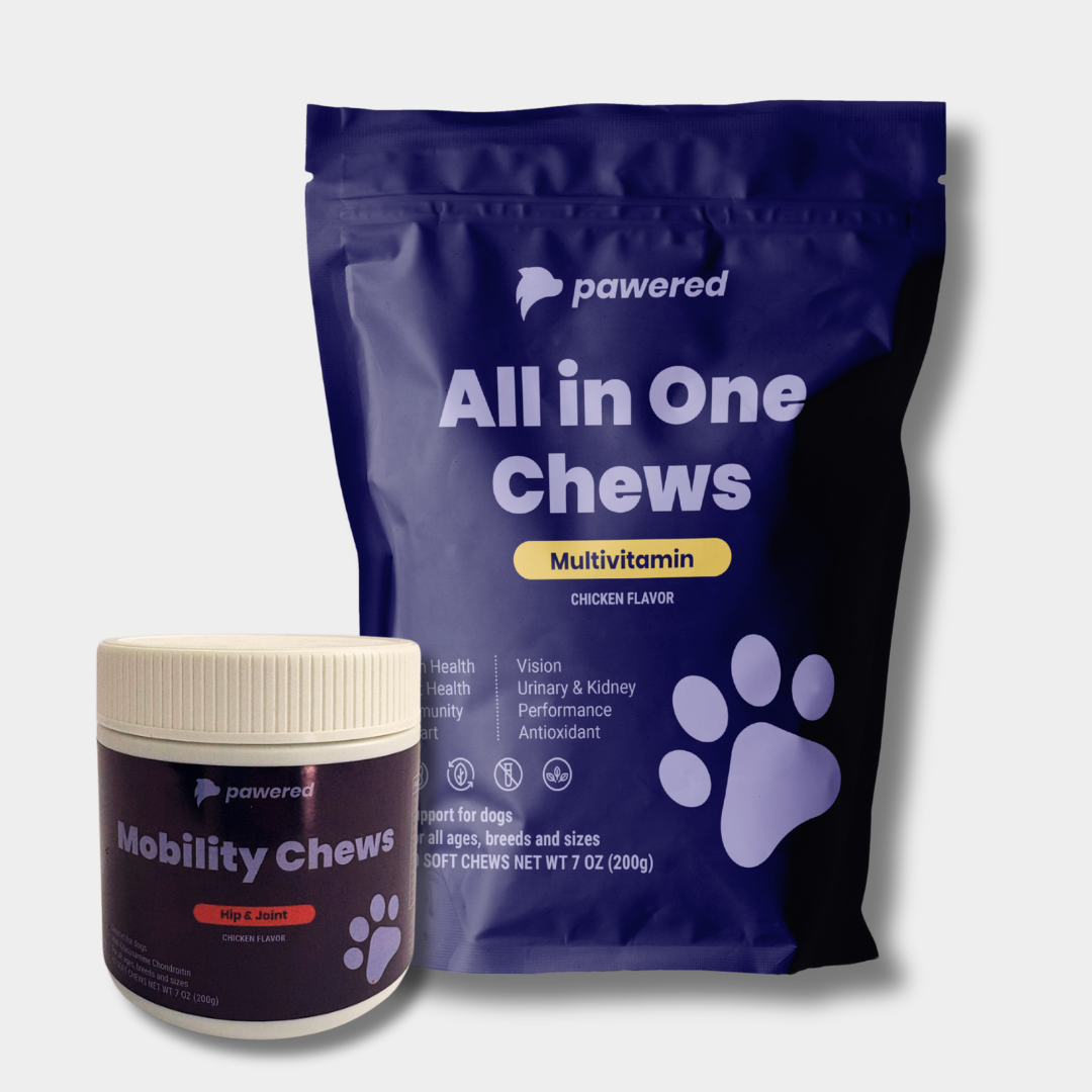 Mobility Plus