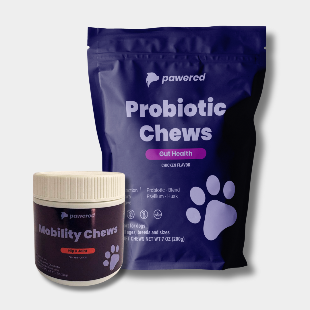 Mobility Plus