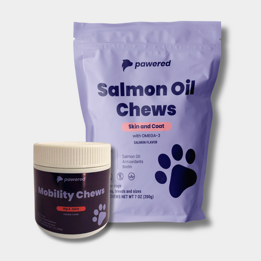 Mobility Plus
