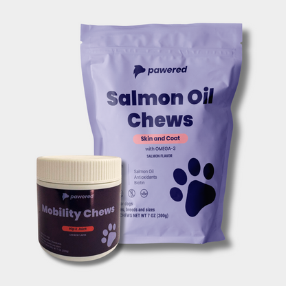 Mobility Plus