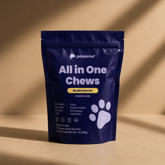 All in One Chews