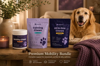 Premium Mobility Bundle