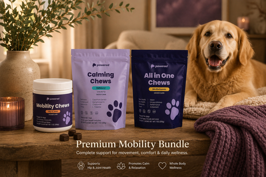 Premium Mobility Bundle