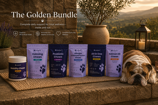 The Golden Bundle + Brush