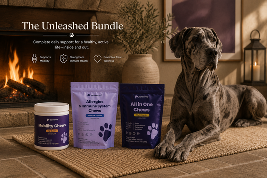 The Unleashed Bundle