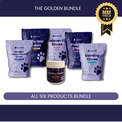 The Golden Bundle + Brush