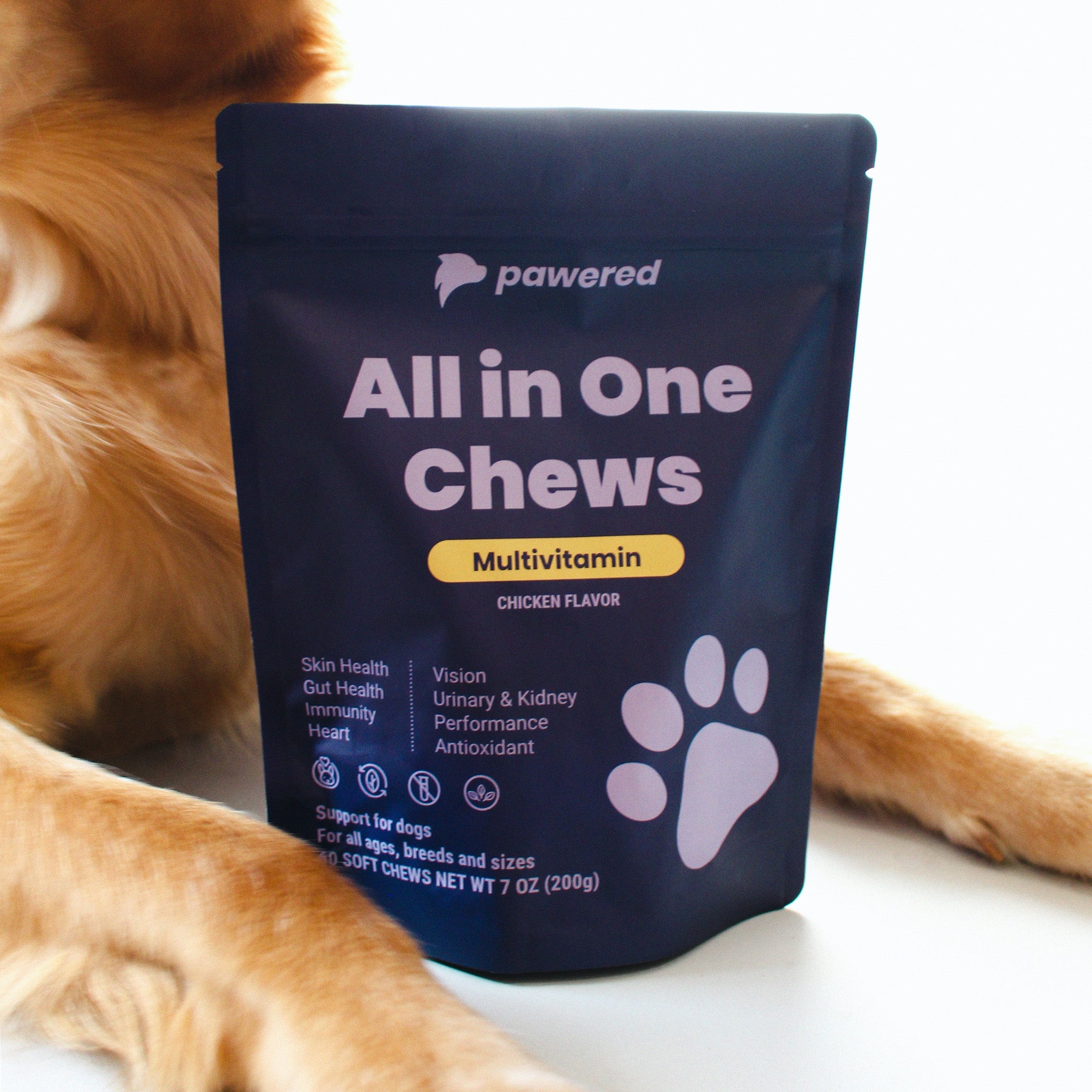 All in One Chews Pawered